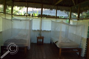 Two beds covered with mosquito netting at Heath River Wildlife Center