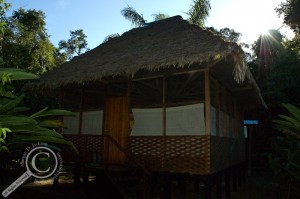 Thatched roof cabin at Heath River Wildlife Center