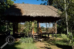 Thatched roof, screened cabana with hammocks at Heath River Wildlife Center