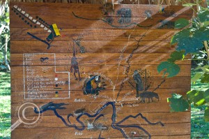 Hand painted sign depicting trail network for the Heath River Wildlife Center Bolivia