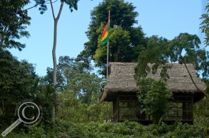Thatched roof hut with Bolivian flag flying in the Amazon