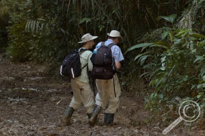 Two entomologists walking through thick mud in Amazonian Peru