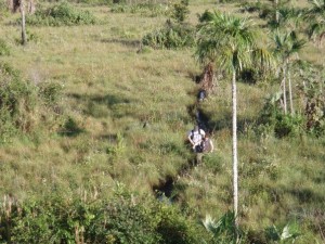 People walking in the Pampas of Bolivia