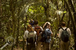 Students walking around the Amazon jungle of Bolivia