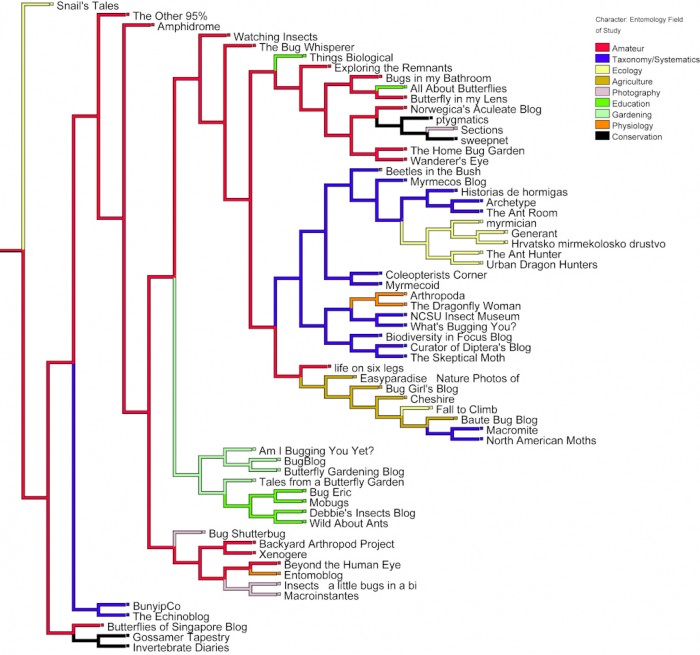 Phylogenetic tree of insect blogs coloured by field of study