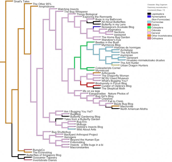 Phylogenetic tree of insect blogs with insect families mapped