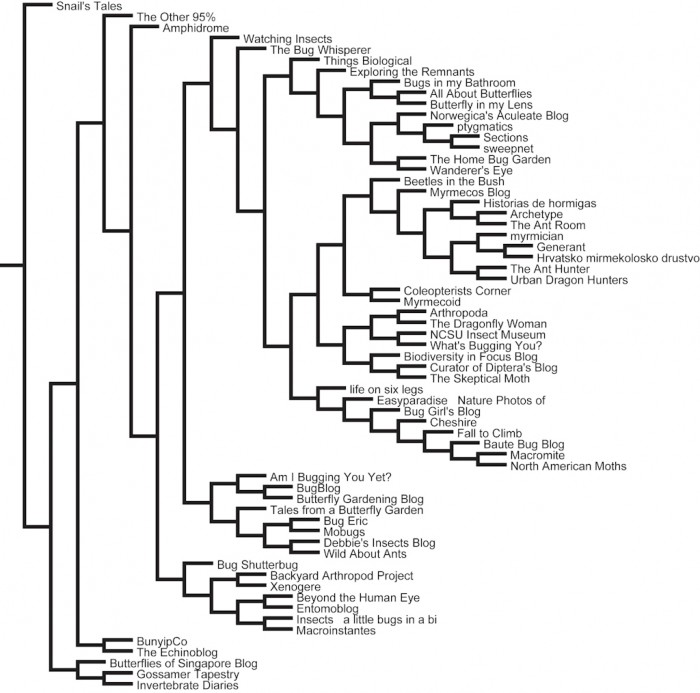 Phylogenetic Tree of Insect Blogs