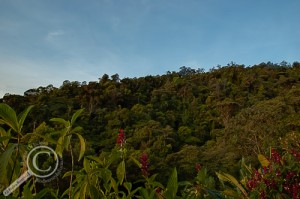 HDR Image of forested ridge in Costa Rica