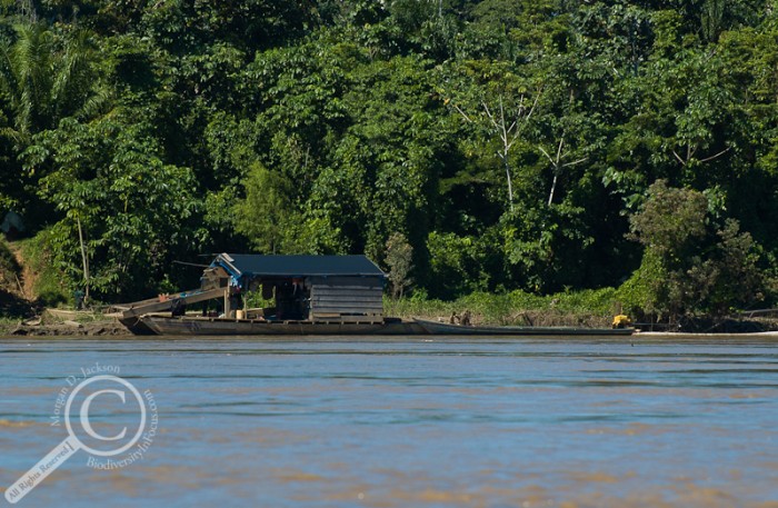 Gold processing skow in the Madre de Dios River