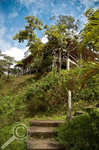 El Copal Reserve Stairway