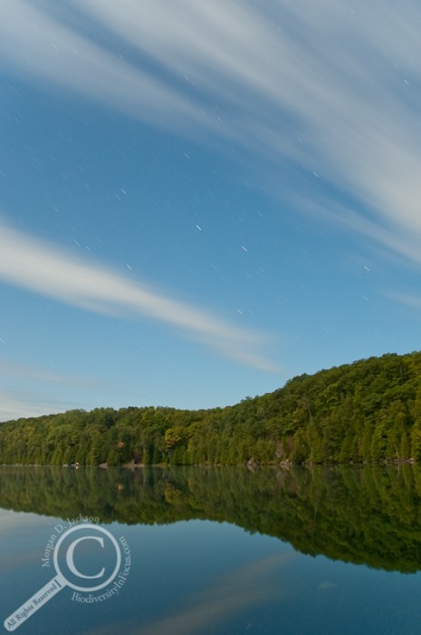 Image of a moonlit forest with stars and clouds reflected in a calm lake in northern Ontario