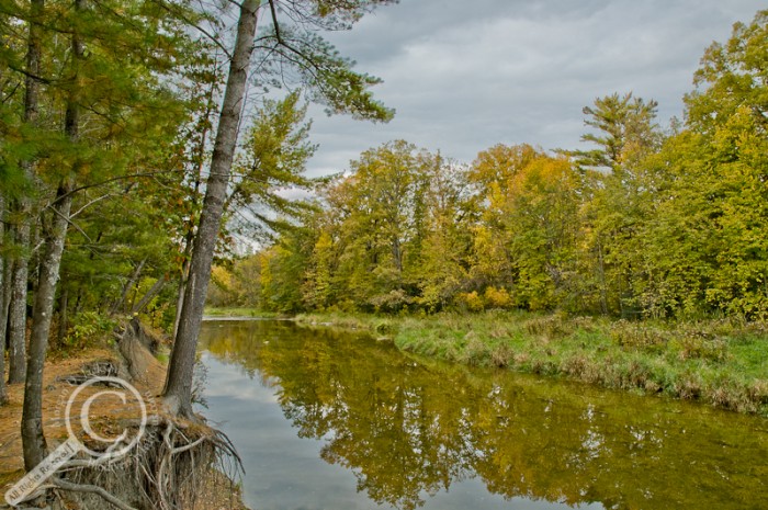 Tone Mapped image of a river in Ontario Canada