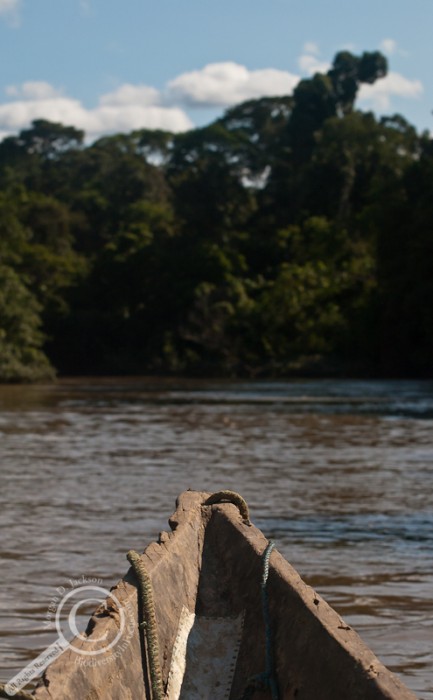 Dugout canoe traveling up a river in amazonian Ecuador