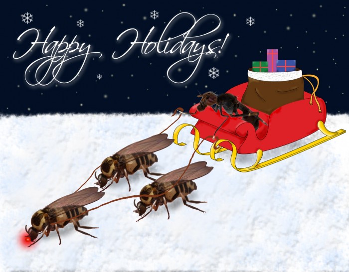 Christmas photo composite with flies for Santa and Reindeer