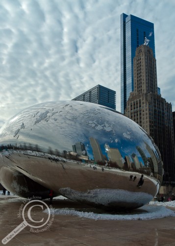 The Cloud Gate statue providing a window through the clouds Chicago Illinois