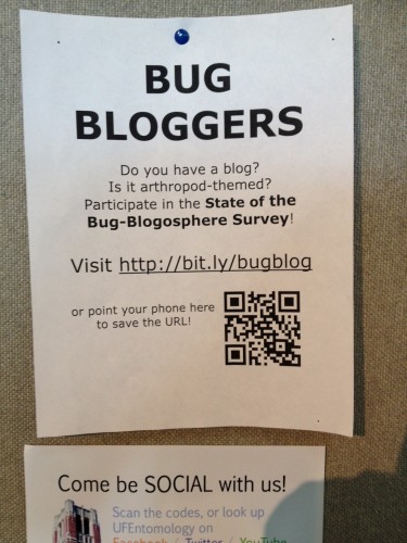 Bug Girl Flyer