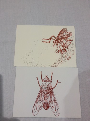 Fly greeting cards from Virginia Tech