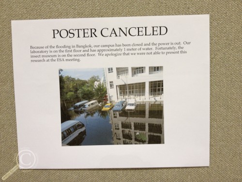 Poster Cancelled due to Thailand Flooding