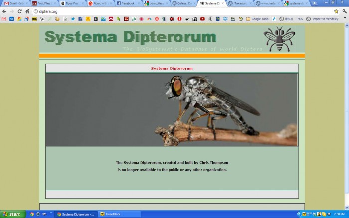 Home page for Systema Dipterorum as of February 16 2011