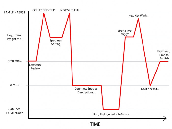 Fun look at how species are described