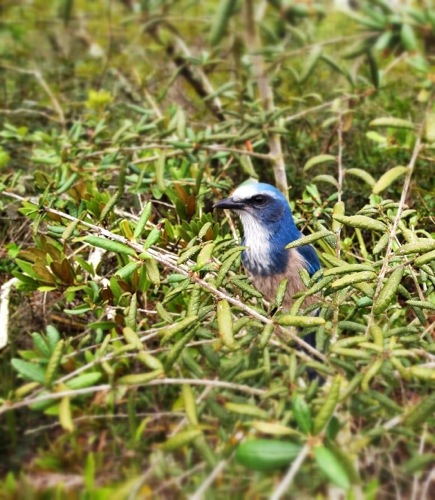 20120827-125855.jpg