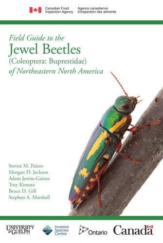 Cover of Field Guide to the Jewel Beetles of Northeastern North America