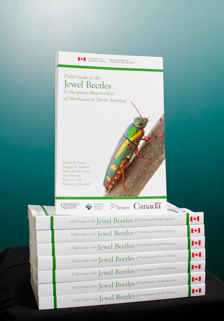 Field Guide to the Jewel Beetles of NE NA