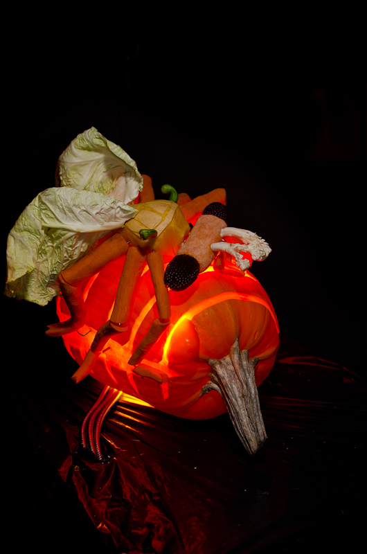 That pumpkin wasp doesn't stand a chance with a Strepsiptera salad hanging around -- Ent-O-Lantern 2013