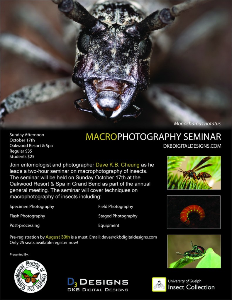 DKB Digital Designs Macrophotography Seminar at ESO 2010